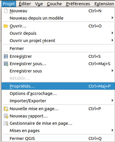 Menu Projet, Propriétés du projet